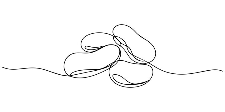 Fava beans continuous one line drawing, Fava beans simple color vector illustration. One continuous line art drawing with lettering organic fava beans, pro vector illustration isolated on white