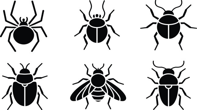 Black insect silhouettes vector set, beetle spider and fly icons, nature bug collection for educational graphic design