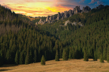 Malownicza Dolina Chochołowska w okolicach Zakopanego – szeroka górska dolina w Tatrach Zachodnich. Polska © jarizPJ