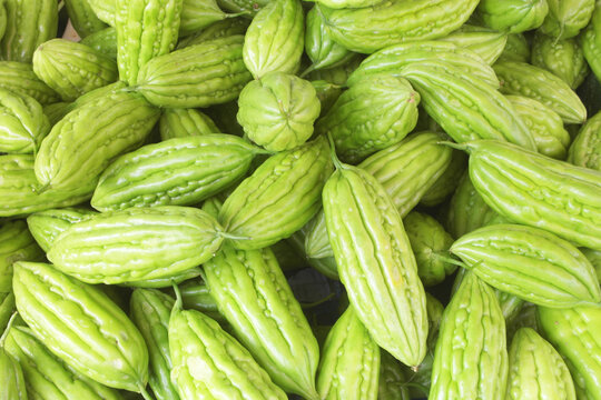 Many bitter gourd or bitter melon vegetables as background