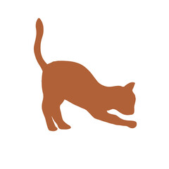 Brown Cat © 将志 中西