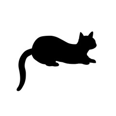 Black Cat Illustration © 将志 中西