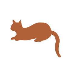 Brown Cat © 将志 中西