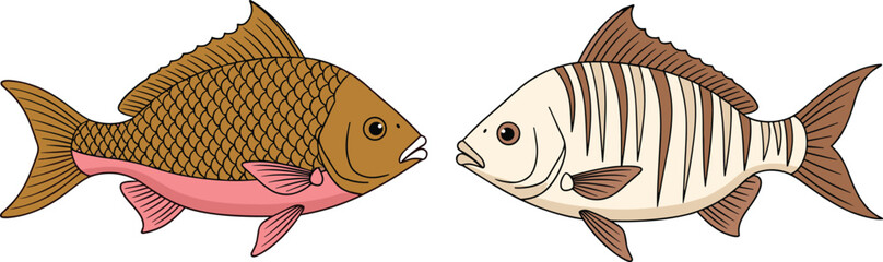 Colorful hand drawn vector illustration of two tropical fish including a brown carp and striped sea bream for seafood market and aquatic branding © MstHanufa