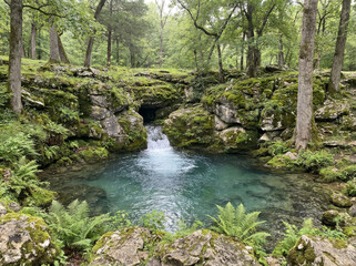 Obraz premium A serene natural spring emerges from moss-covered rocks surrounded by lush green forest and ferns.