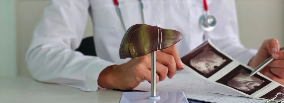 Ultrasound diagnosis of stomach and liver on abdominal cavity of in clinic