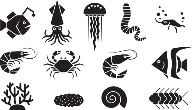 Collection of black and white vector illustrations of sea creatures: anglerfish, squid, jellyfish, shrimp, crab, fish, coral, and snail shell.