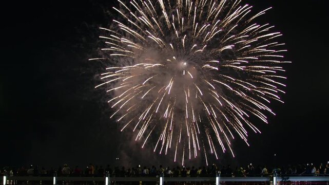 Night City Celebration with Fireworks in the Sky