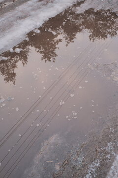 Melting snow forms shallow muddy puddles on a dirt path, reflecting bare trees, with slushy edges, foam patches,