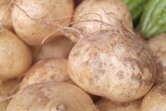 Many jicama vegatables close up