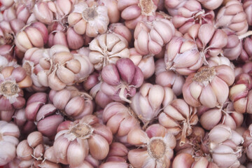 Many garlic cloves as background