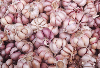Many garlic cloves as background