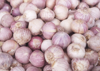 Many single clove garlic or chinese garlic cloves as background