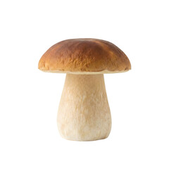 Porcini Mushroom Boletus Edulis Mushroom Healthy Edible Food Ingredient Culinary Gourmet Wild Fungus Fresh Natural Organic isolated on transparent background