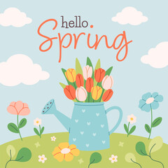 Naklejka premium Hello spring greeting card with cute watering can, tulips, spring flowers on meadow. Perfect for cards, invitations, posters, home decor, and seasonal design. Flat vector illustration