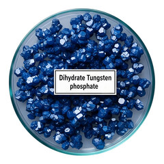 Blue dihydrate tungsten phosphate crystals in a glass petri dish on transparent background