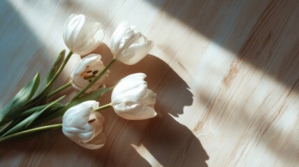 Three white tulips rest on a natural wooden table with soft shadows, creating a minimalist and elegant floral composition in natural daylight.