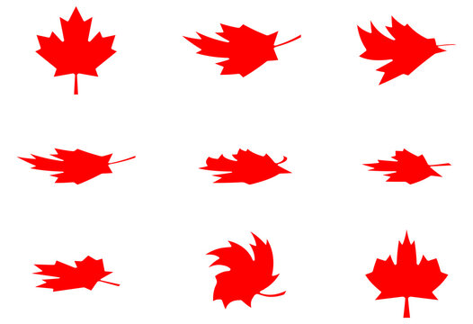 Set of 9 creative twisted Canadian maple leaf vector design elements