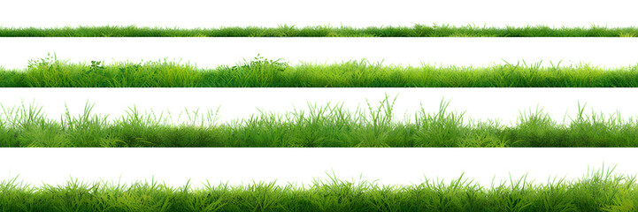 Green grass texture strips