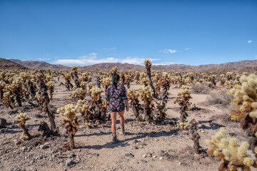 A woman walks through a desert with a blue sky above her