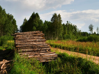 A pile of logs is stacked in a field. The sky is cloudy and green forest in the background, warm sunny summer day. Timber production industry. Traditional material supply for different business. © mark_gusev