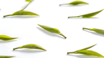 Obraz premium Green tea leaves on white background