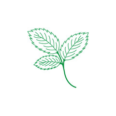 Clean and scalable mint leaf logo vector symbol template for brand identity. © AR54K4 19
