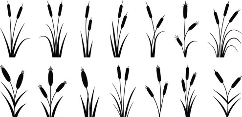 Black and white of various wheat stalk arranged in a grid pattern stalks © Hey there