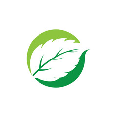 Clean and scalable mint leaf logo vector symbol template for brand identity. © AR54K4 19