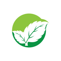 Clean and scalable mint leaf logo vector symbol template for brand identity.