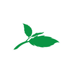 Clean and scalable mint leaf logo vector symbol template for brand identity.