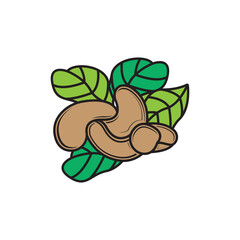 illustration of cashew fruit, cashew icon.