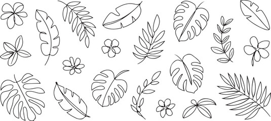 leaf vector illustration tropical foliage floral line art elements © AIcon Star