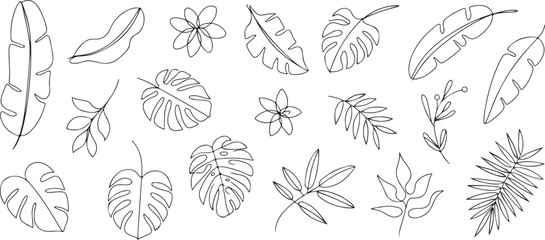 leaf continuous line botanical leaves and floral elements vector © AIcon Star