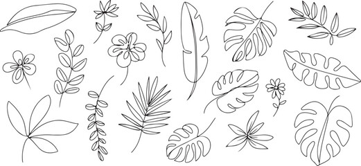 leaf line art tropical leaves and flowers vector set for design © AIcon Star