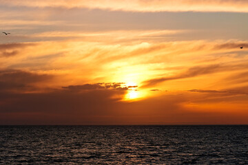 Golden sun sets over the Pacific Ocean casting warm light across calm water and distant horizon. © Savion