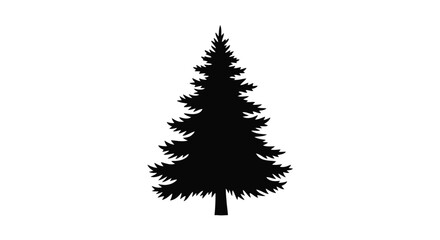A striking black silhouette of a coniferous evergreen tree silhouette © Rabbi