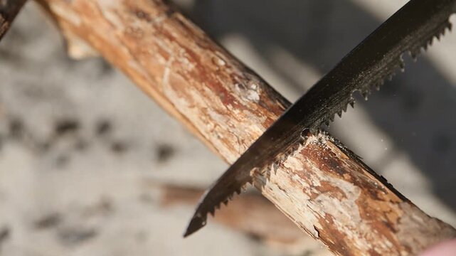 Close-up sequence of hand saw cutting rough branch outdoors with natural light