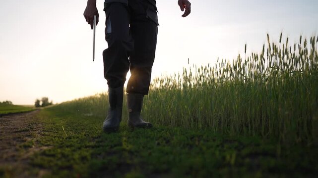 walking along wheat field at sunset showing farmer leg and boot on dirt path beside tall grass and crop while hand holds tool casting low light and shadow across wheat field under warm soft glow