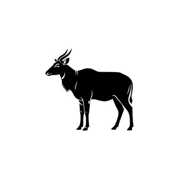 Side view silhouette of a majestic antelope, wild eland or kudu bull with horns standing in a natural pose vector.