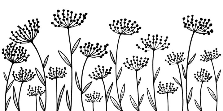Flowers pencil drawing illustration 