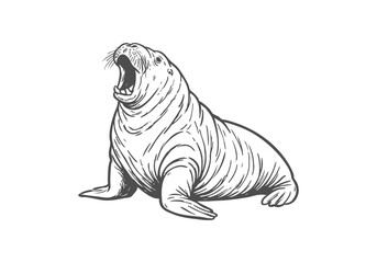 Walrus hand drawn simple sketch vector illustration