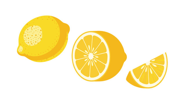 fresh lemon whole half and wedge hand drawn illustration for food and drink design