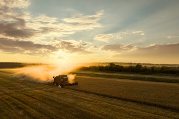 Naklejka premium Combine harvester on the field at sunset. Aerial view