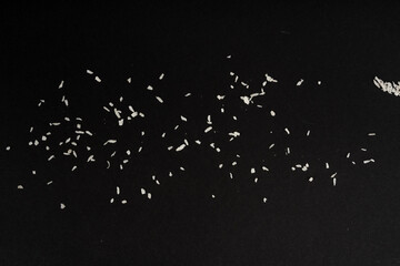 Grated coconut powder. Dry coco flakes pile, shredded desiccated coconut, tropical fruit chips