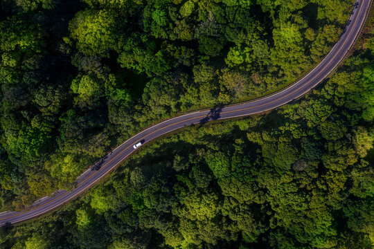 Forest road, road in beautiful autumn forest at sunset, trees with red and orange leaves, Beautiful landscape view from flying drone in Nature, Rainforest ecosystem, electric car driving, EV green