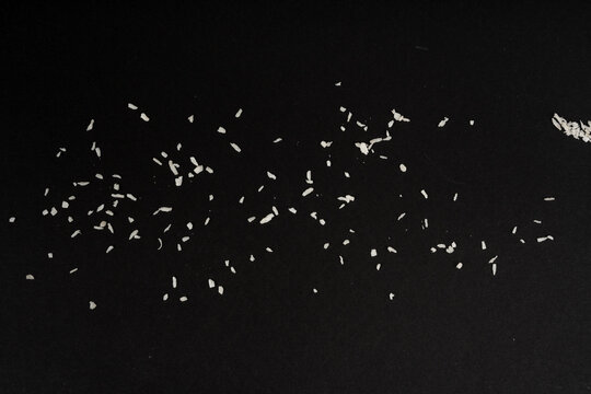 Grated coconut powder. Dry coco flakes pile, shredded desiccated coconut, tropical fruit chips