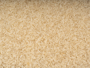 White parboiled rice grains. Dry uncooked ponni rice, small organic basmati