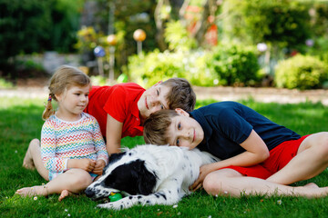 Fototapeta premium Two kids boys and little toddler girl playing with family dog in garden. Three children, adorable siblings having fun with dog. Happy family outdoors. Friendship between animal and kids