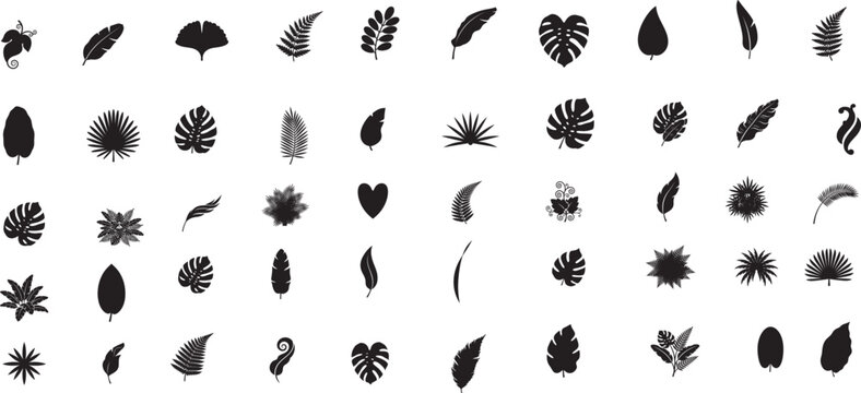Tropical plant silhouettes vector bundle with palm leaves monstera banana leaf and jungle foliage graphic set for design art nature theme decoration illustration

